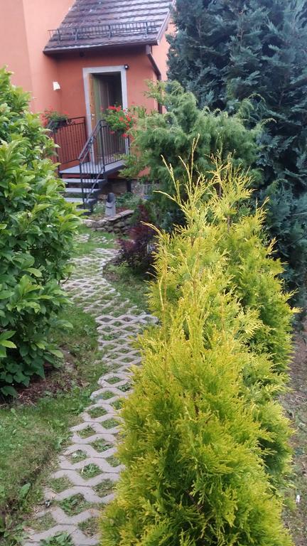 Noclegi U Andrzeja Duszniki Zdrój Buitenkant foto